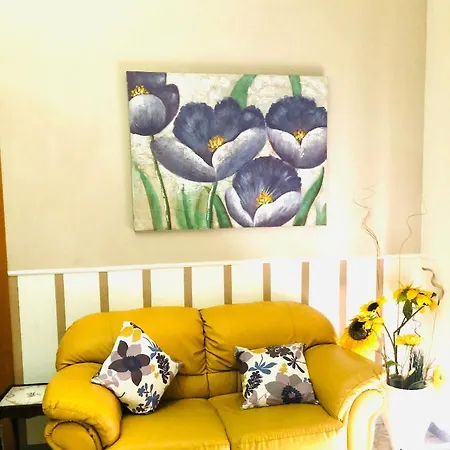 Apartamento Casa Mioss Grande